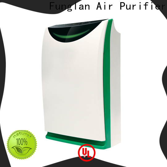 Wholesale air purifier placement company for household