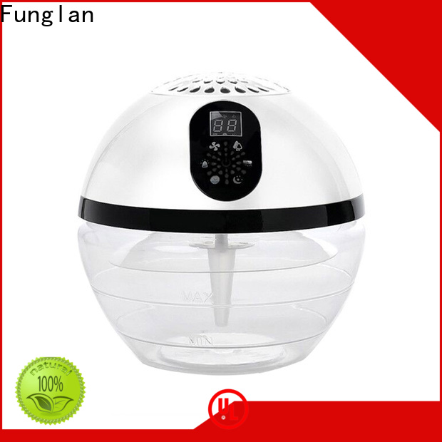 Funglan High-quality room air purifiers for allergies company for purifying the air