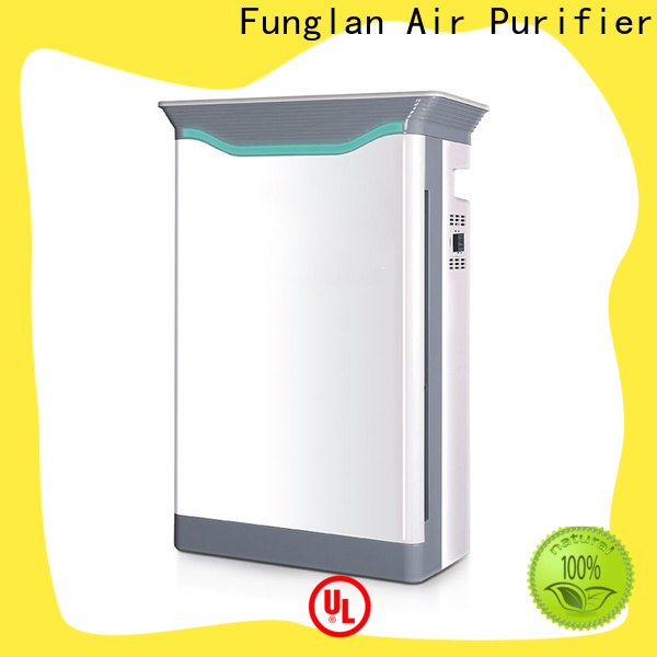 High-quality air cleaner fan factory for household