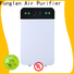 Funglan Best air purifier logo company for household